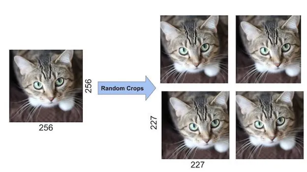 AlexNet Data Augmentation 2